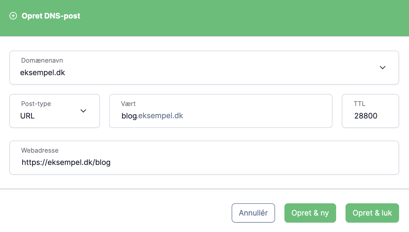 netsite-app-dns-url-forward-subdomain.png