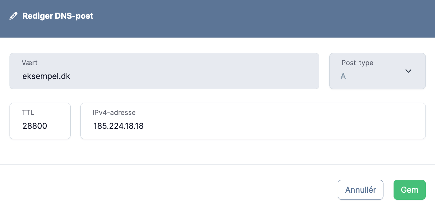 netsite-app-dns-edit.png
