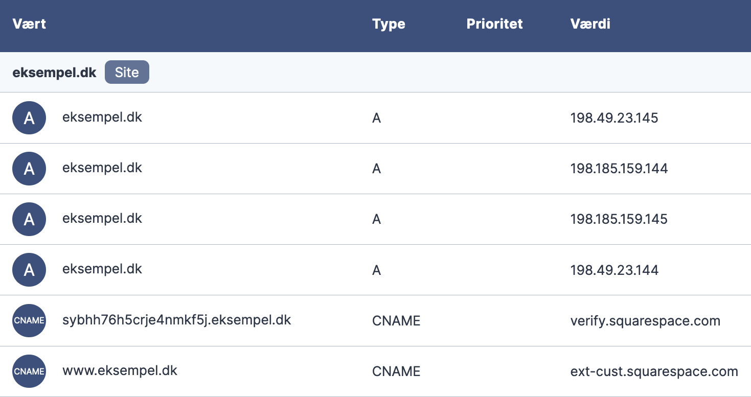 netsite-app-dns-squarespace-setup.png