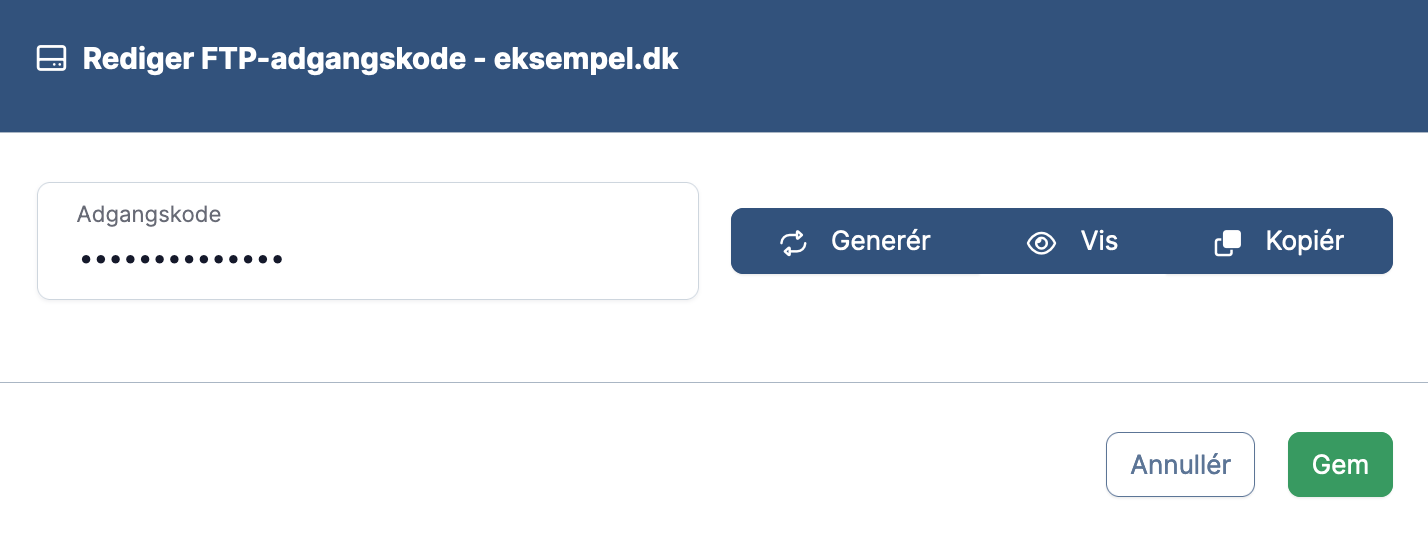 netsite-app-web-ftp-password.png